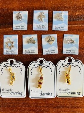 10 Charms NEW in Package Silver Plated Goldtone Boy Girl Bird Kitten Turtle